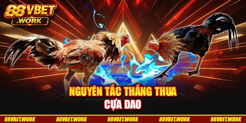 Nguyên tắc thắng thua cựa dao Nguyên tắc thắng thua cựa dao