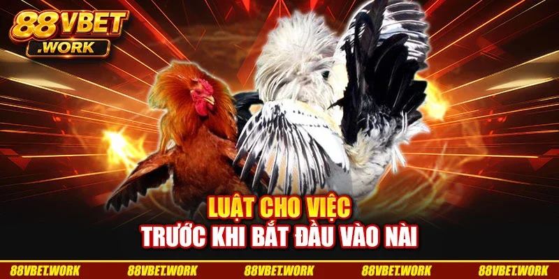 Luật cho việc trước khi bắt đầu vào nài Luật cho việc trước khi bắt đầu vào nài